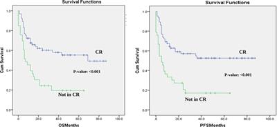 Haploidentical stem cell transplantation with post-transplant cyclophosphamide challenges and outcome from a tertiary care center in Lebanon